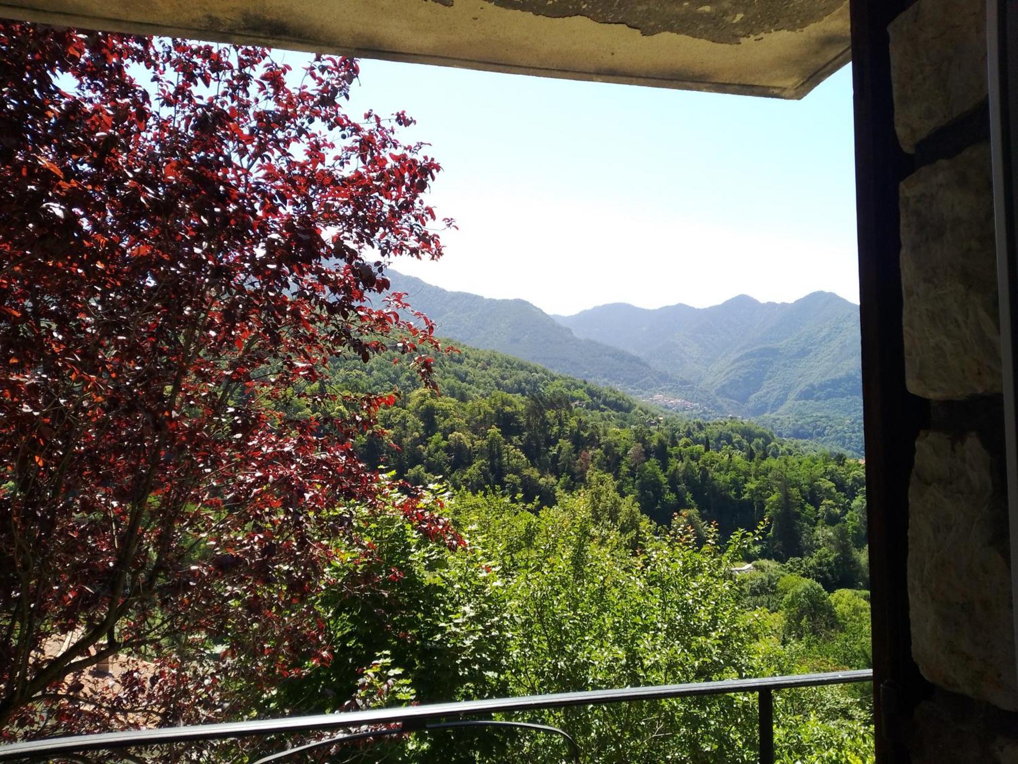 Les Lauriers Appartement Roquebilliere Buitenkant foto